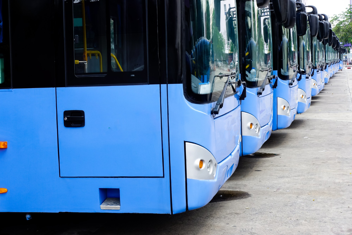 bus
